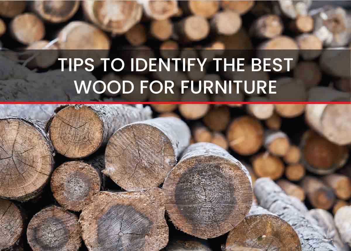 TIPS TO IDENTIFY THE BEST WOOD FOR FURNITURE - A 5 MINUTE READ