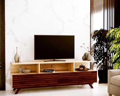 Reefnas Tv Unit