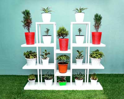 Sarajevo Plant Stand