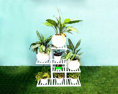 Penza Plant Stand