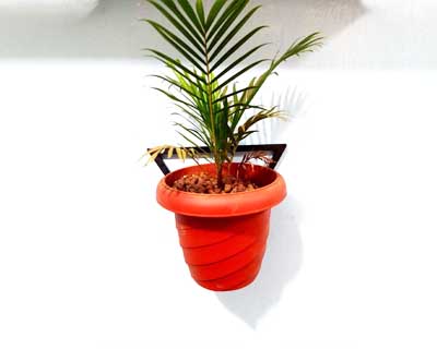 Hannover Plant Stand